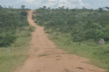 The Shell V-Power Pearl of Africa Uganda Rally 2025 Route Breakdown The Shell V-Power Pearl of Africa Uganda Rally 2025 Route Breakdown